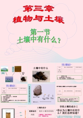 五年级科学上册 3.4《土壤中有什么》课件（3） 教科版-教科版小学五年级上册自然科学课件