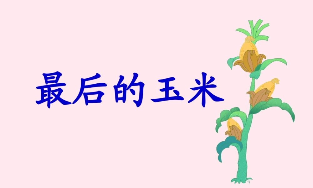 二年级语文下册 课文5 第14课《最后的玉米》课件 鄂教版-鄂教版小学二年级下册语文课件