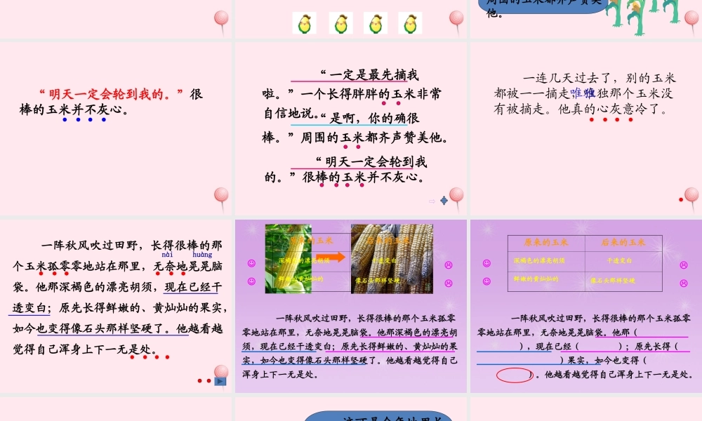 二年级语文下册 课文5 第14课《最后的玉米》课件 鄂教版-鄂教版小学二年级下册语文课件