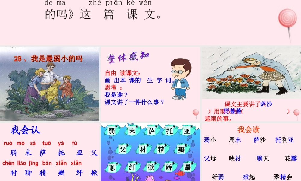 二年级语文下册 第七单元 第28课《我是最弱小的吗》课件1 语文S版-语文S版小学二年级下册语文课件