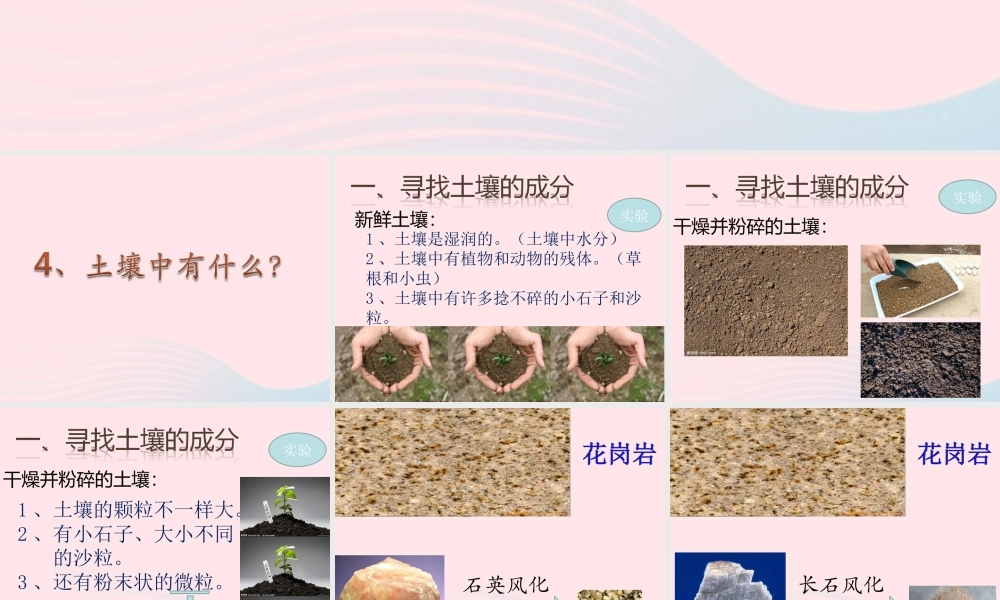 五年级科学上册 3.4《土壤中有什么》课件（4） 教科版-教科版小学五年级上册自然科学课件