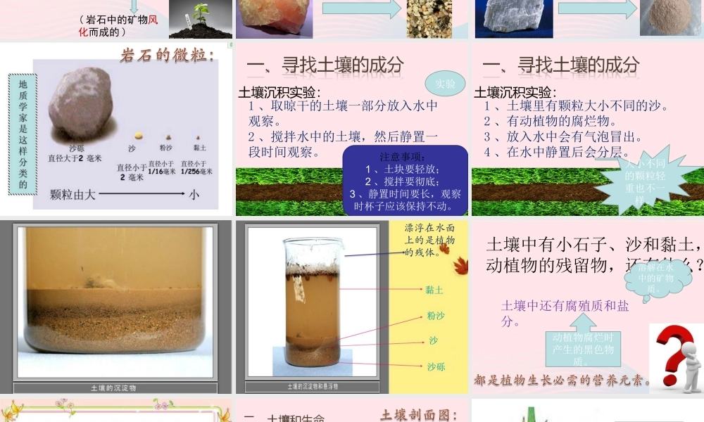 五年级科学上册 3.4《土壤中有什么》课件（4） 教科版-教科版小学五年级上册自然科学课件