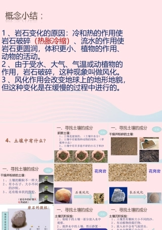 五年级科学上册 3.4《土壤中有什么》课件（4） 教科版-教科版小学五年级上册自然科学课件