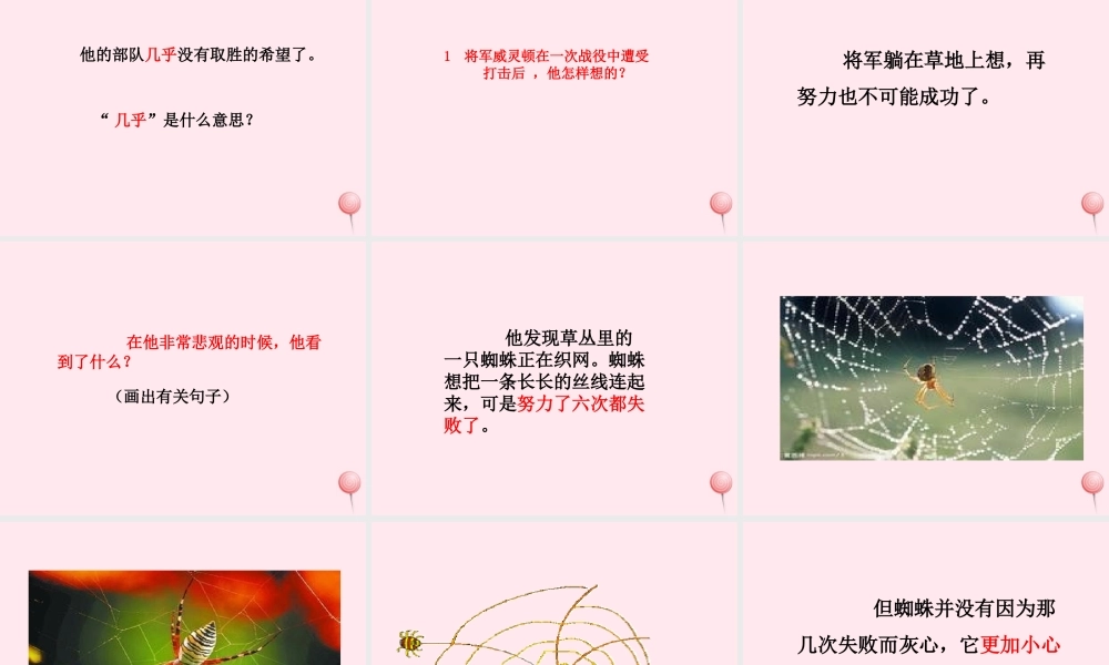 二年级语文下册 课文5 第15课《将军和蜘蛛》课件 鄂教版-鄂教版小学二年级下册语文课件