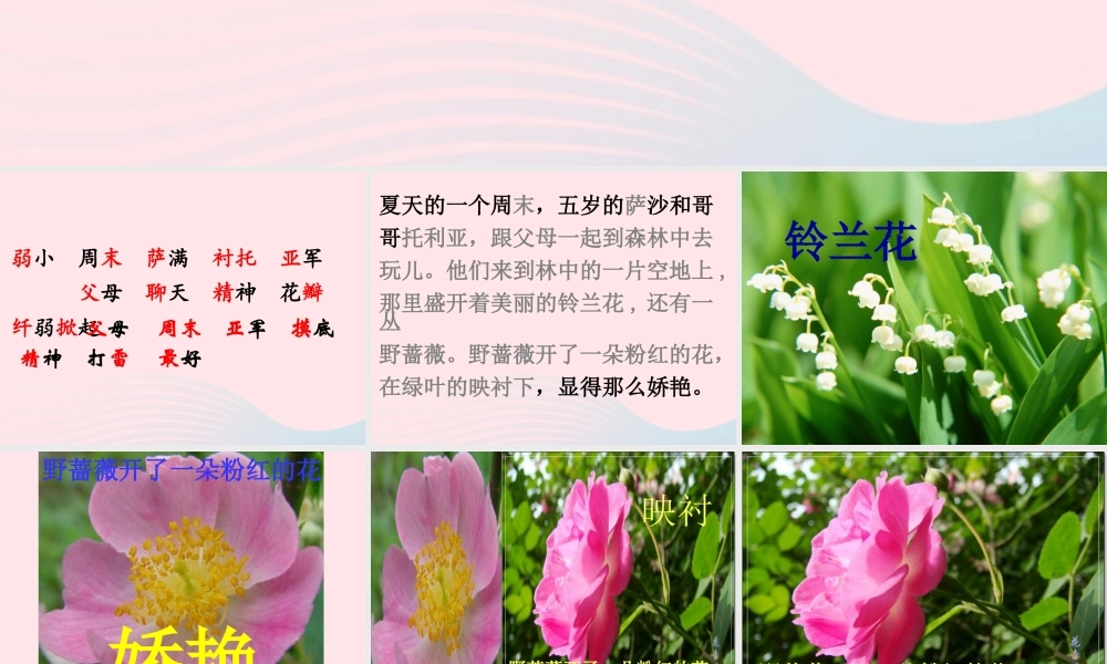 二年级语文下册 第七单元 第28课《我是最弱小的吗》课件2 语文S版-语文S版小学二年级下册语文课件