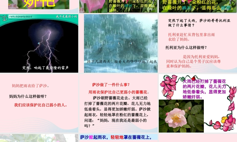 二年级语文下册 第七单元 第28课《我是最弱小的吗》课件2 语文S版-语文S版小学二年级下册语文课件