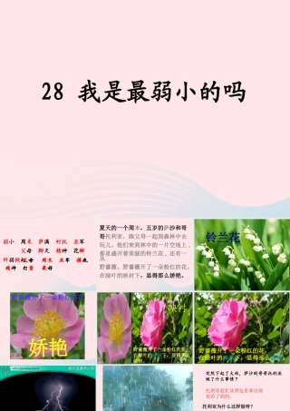 二年级语文下册 第七单元 第28课《我是最弱小的吗》课件2 语文S版-语文S版小学二年级下册语文课件