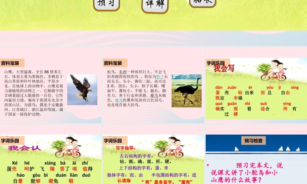 二年级语文下册 阅读五 第9课《小鸵鸟和小山鹰》课件 教科版-教科版小学二年级下册语文课件