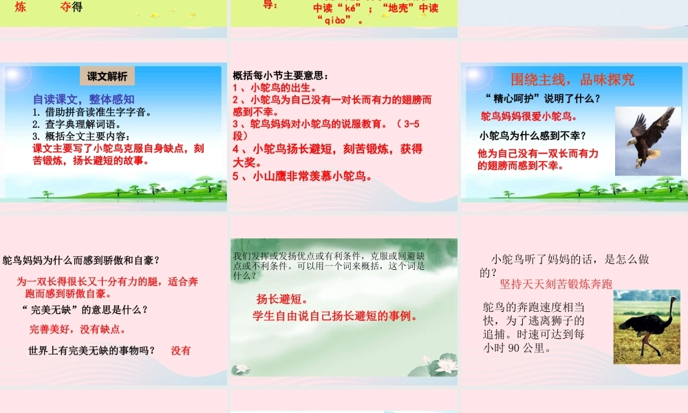 二年级语文下册 阅读五 第9课《小鸵鸟和小山鹰》课件 教科版-教科版小学二年级下册语文课件