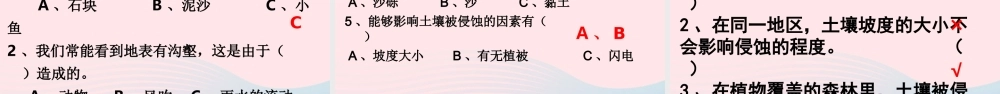 五年级科学上册 3.5《雨水对土地的侵蚀》课件（2） 教科版-教科版小学五年级上册自然科学课件