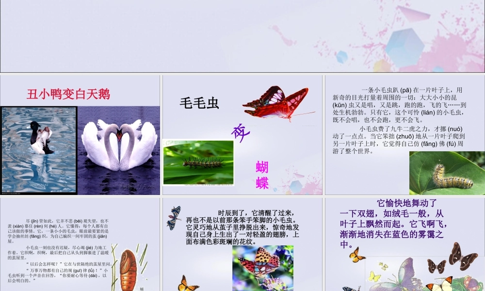 二年级语文下册 第七单元 课文6 22 小毛虫教学课件 新人教版-新人教版小学二年级下册语文课件