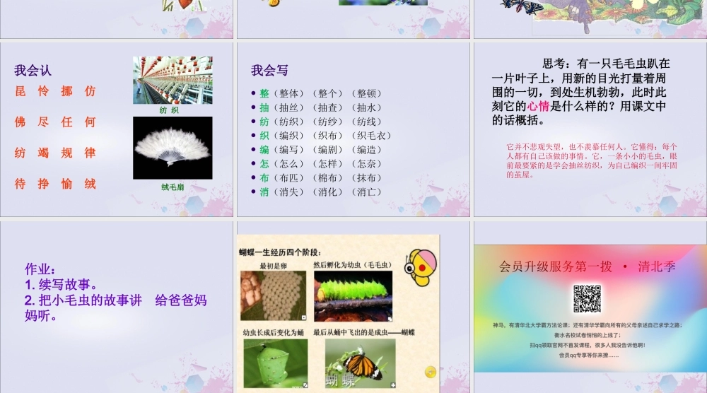 二年级语文下册 第七单元 课文6 22 小毛虫教学课件 新人教版-新人教版小学二年级下册语文课件