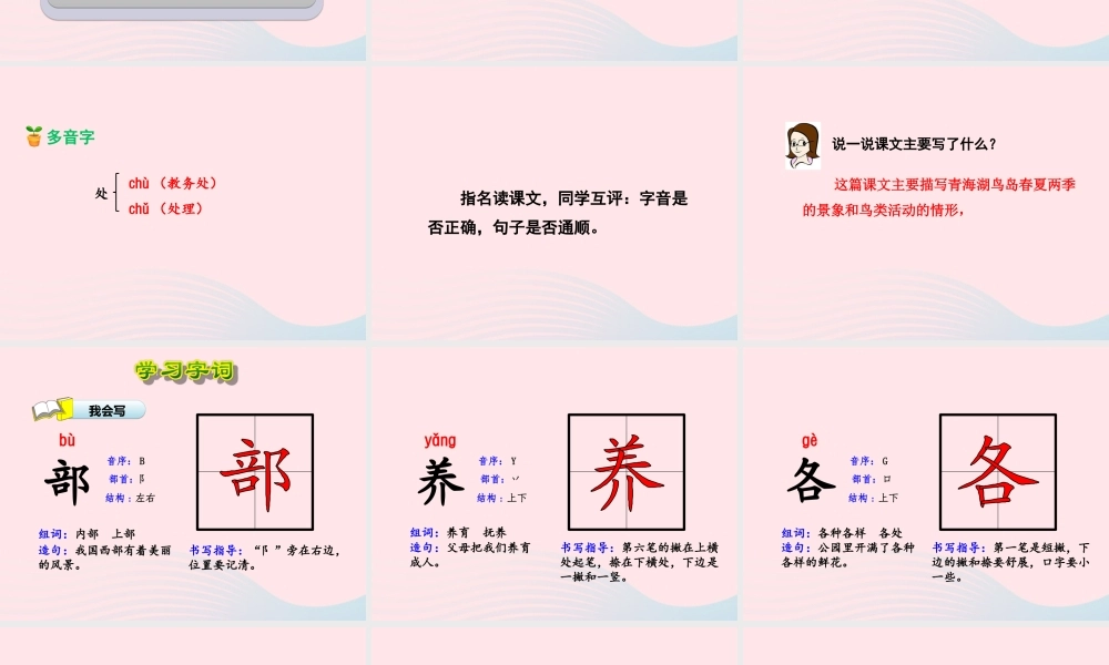 二年级语文下册 课文5 第19课《鸟岛》（第1课时）课件 苏教版-苏教版小学二年级下册语文课件