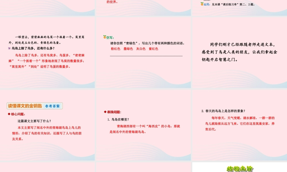 二年级语文下册 课文5 第19课《鸟岛》（第2课时）课件 苏教版-苏教版小学二年级下册语文课件