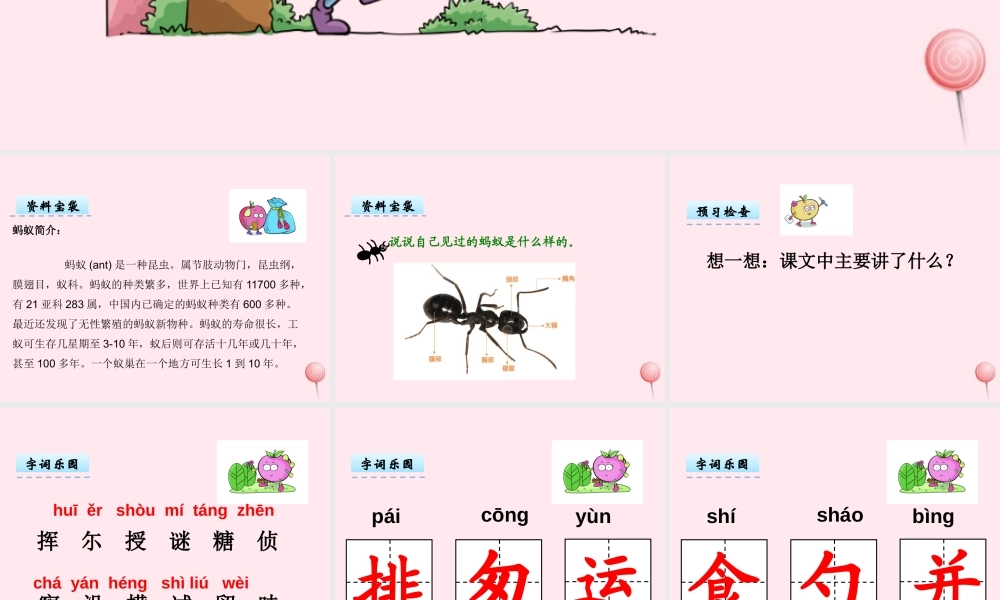 二年级语文下册 第三单元 第6课《蚂蚁的队伍》课件 湘教版-湘教版小学二年级下册语文课件