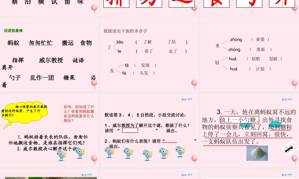 二年级语文下册 第三单元 第6课《蚂蚁的队伍》课件 湘教版-湘教版小学二年级下册语文课件