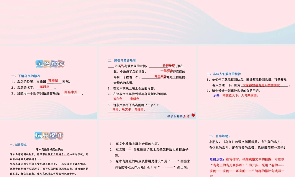 二年级语文下册 课文5 第19课《鸟岛》习题课件 苏教版（B组-提升篇）课件