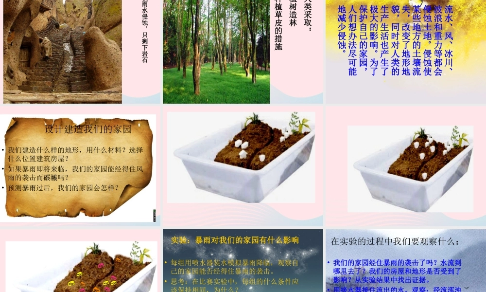 五年级科学上册 3.8《减少对土地的侵蚀》课件（4） 教科版-教科版小学五年级上册自然科学课件