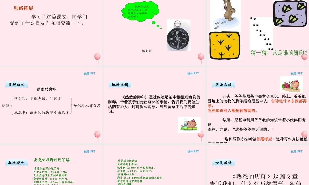 二年级语文下册 第三单元 第7课《熟悉的脚印》课件 湘教版-湘教版小学二年级下册语文课件