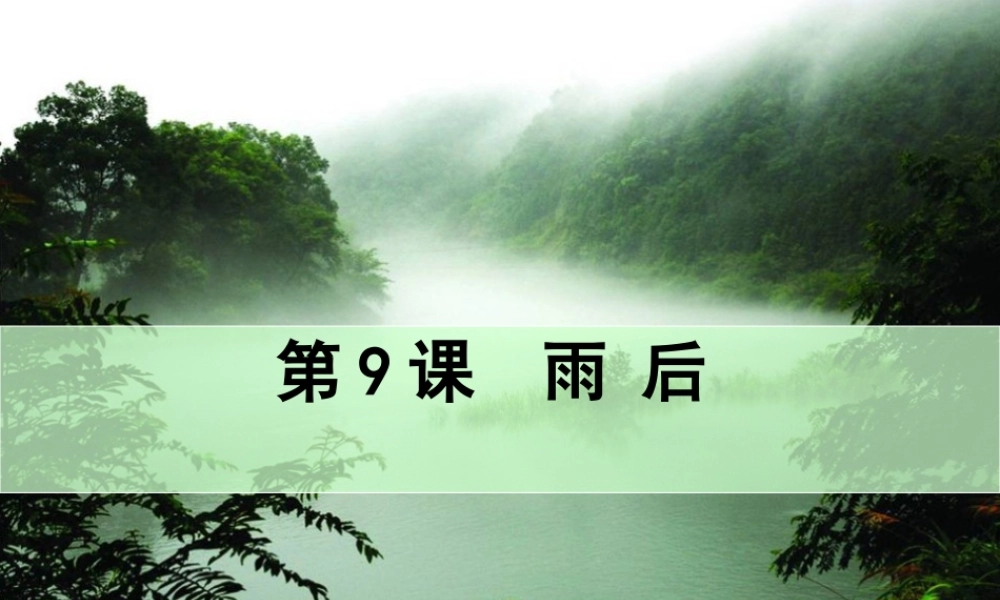 二年级语文下册 第三单元 第9课《雨后》课件1 语文S版-语文S版小学二年级下册语文课件