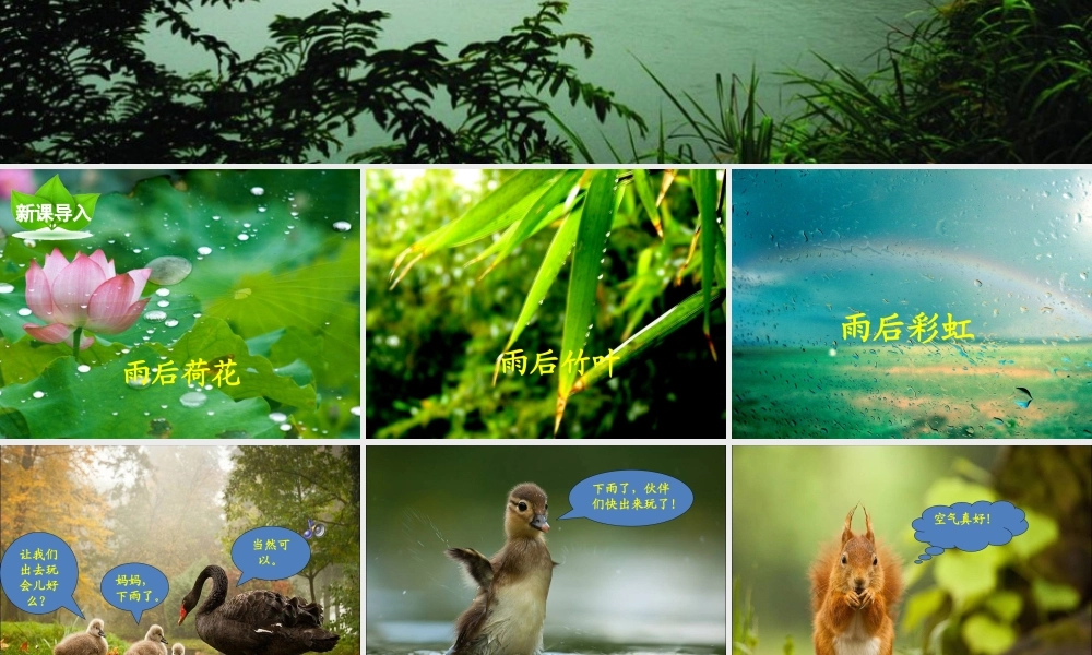 二年级语文下册 第三单元 第9课《雨后》课件1 语文S版-语文S版小学二年级下册语文课件