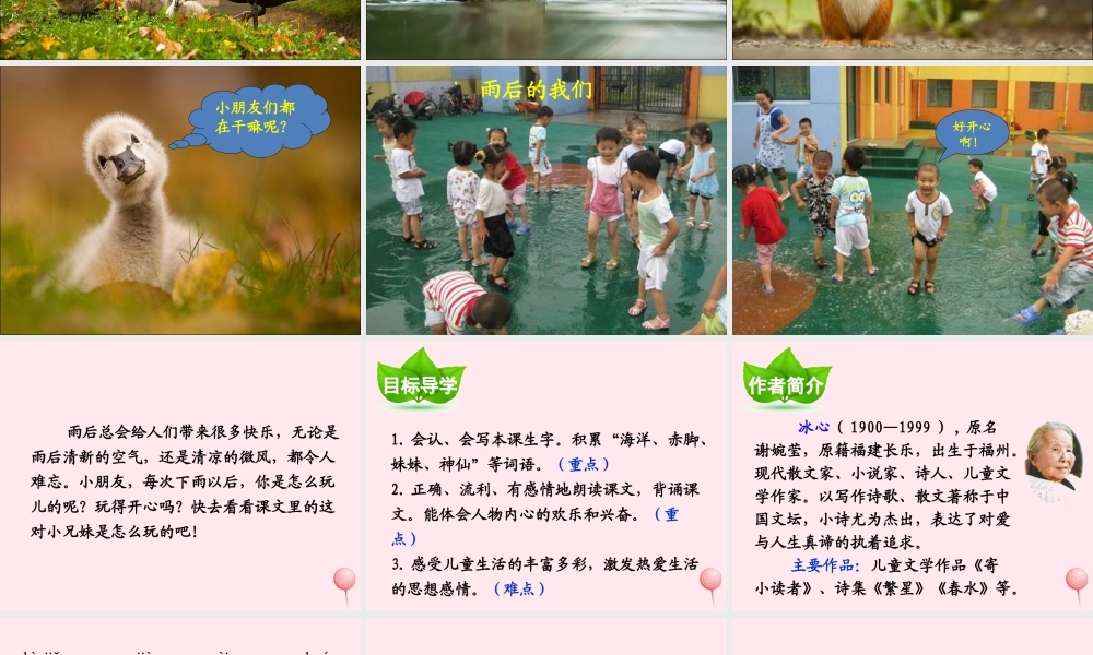 二年级语文下册 第三单元 第9课《雨后》课件1 语文S版-语文S版小学二年级下册语文课件