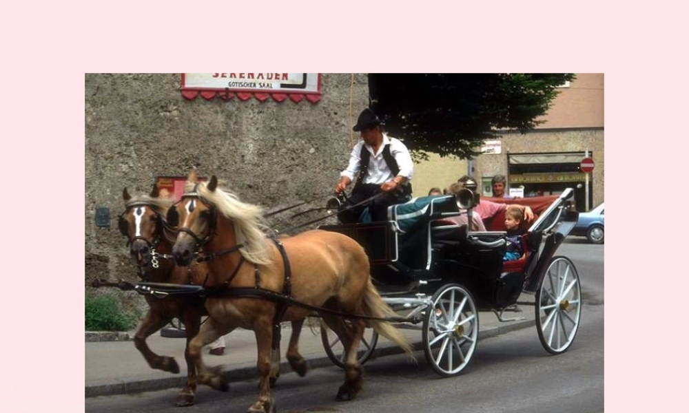 五年级科学上册 4.1《我们的小缆车》课件（4） 教科版-教科版小学五年级上册自然科学课件