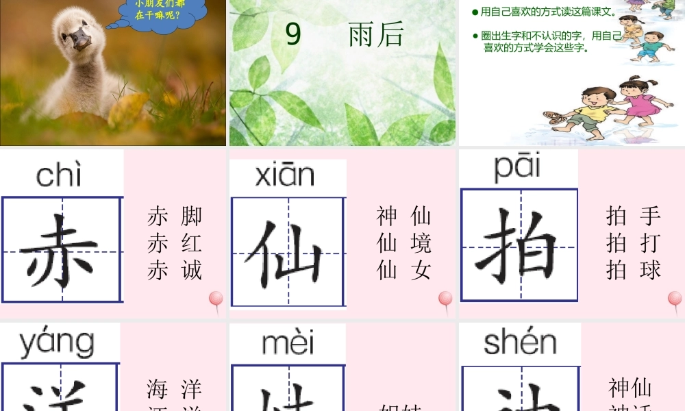 二年级语文下册 第三单元 第9课《雨后》课件3 语文S版-语文S版小学二年级下册语文课件