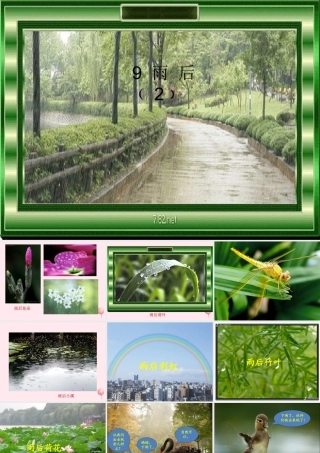 二年级语文下册 第三单元 第9课《雨后》课件3 语文S版-语文S版小学二年级下册语文课件