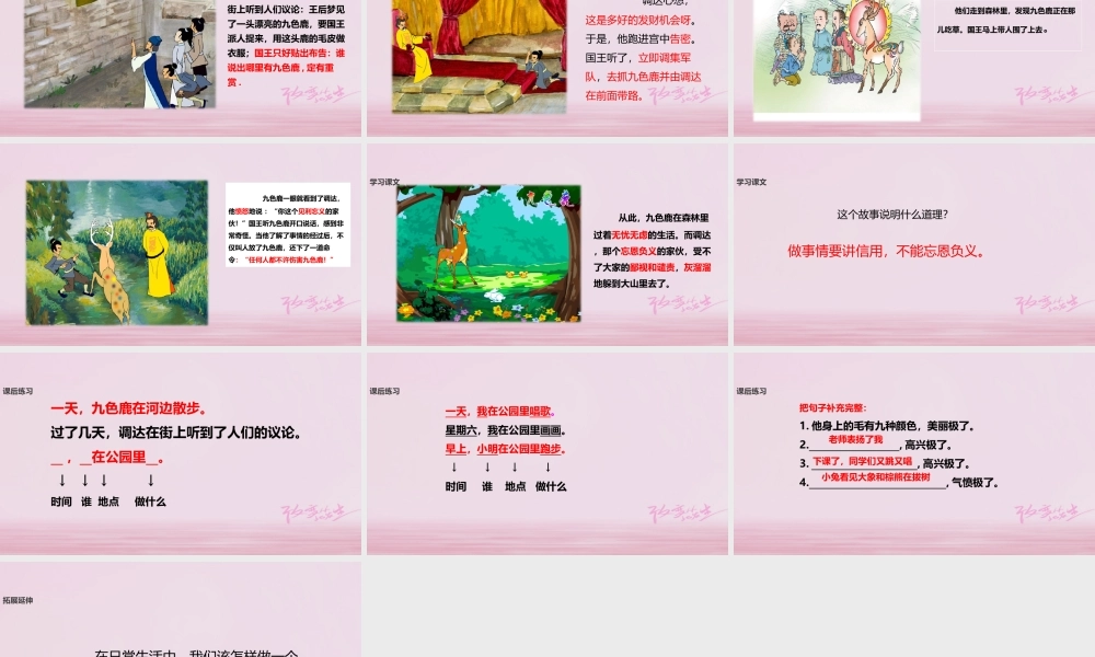 二年级语文下册 课文2 7 九色鹿课件 西师大版-西师大版小学二年级下册语文课件