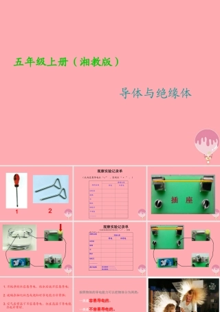 五年级科学上册 4.4 导体与绝缘体课件1 湘教版-湘教版小学五年级上册自然科学课件