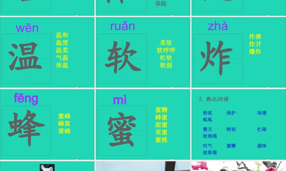 二年级语文下册 第三单元 第11课《找不到快乐的波斯猫》课件3 语文S版-语文S版小学二年级下册语文课件