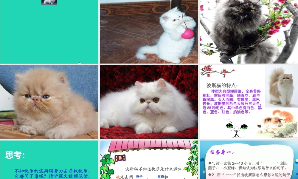 二年级语文下册 第三单元 第11课《找不到快乐的波斯猫》课件3 语文S版-语文S版小学二年级下册语文课件