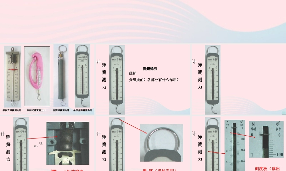 五年级科学上册 4.4《测量力的大小》课件（2） 教科版-教科版小学五年级上册自然科学课件