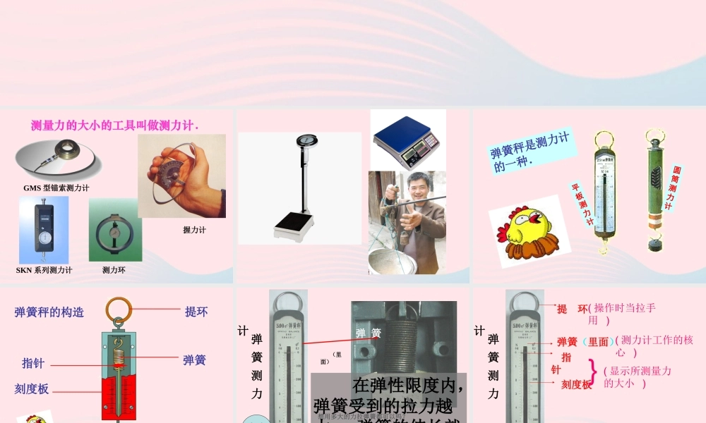 五年级科学上册 4.4《测量力的大小》课件（4） 教科版-教科版小学五年级上册自然科学课件