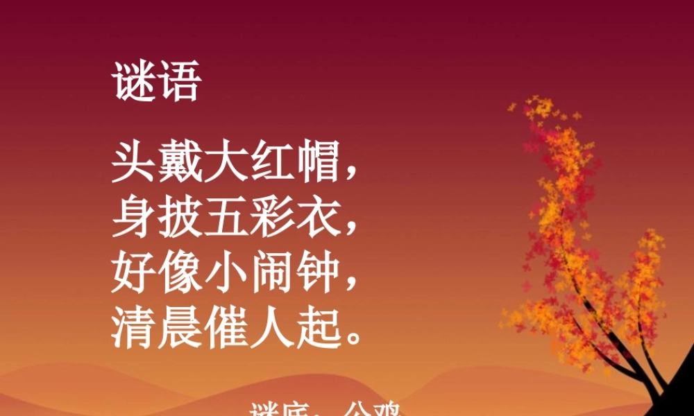 二年级语文下册 第三单元 第14课《闻鸡起舞》课件1 北京版-北京版小学二年级下册语文课件