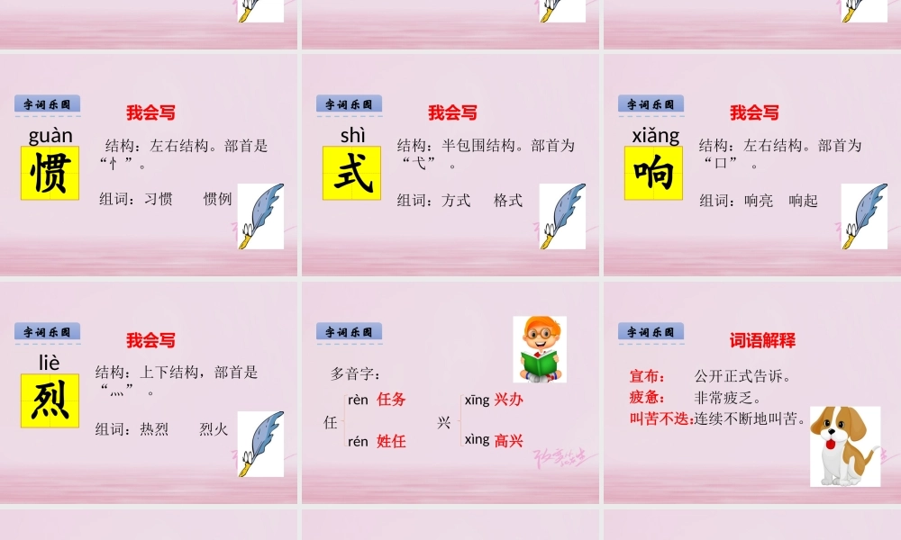 二年级语文下册 课文2 9 从现在开始课件 西师大版-西师大版小学二年级下册语文课件