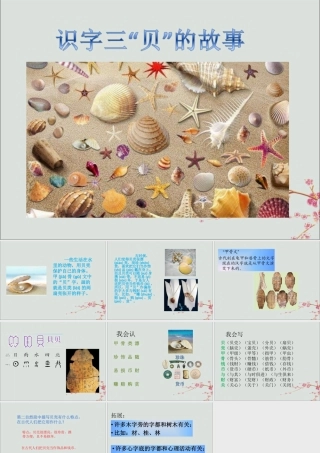 二年级语文下册 第三单元 识字3“贝”的故事教学课件 新人教版-新人教版小学二年级下册语文课件