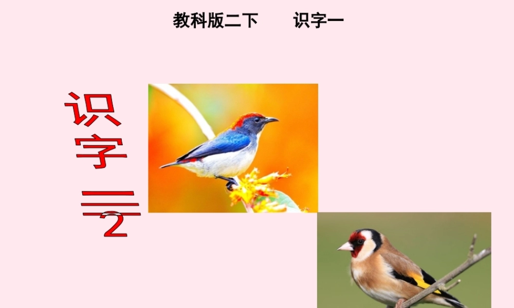 二年级语文下册《识字一》（第2课时）课件 教科版-教科版小学二年级下册语文课件