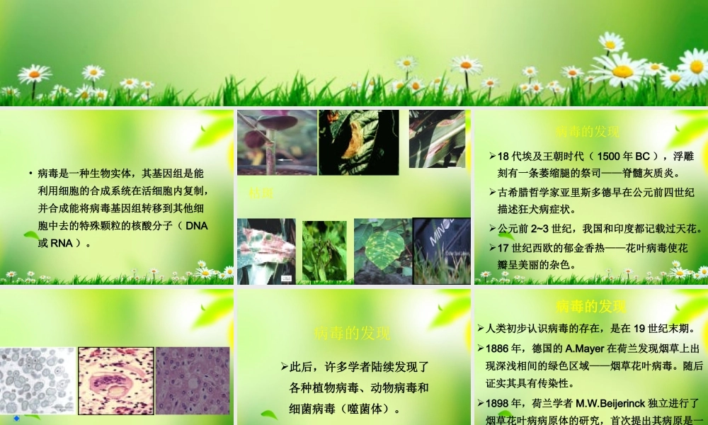 五年级科学上册 病毒 1课件 青岛版