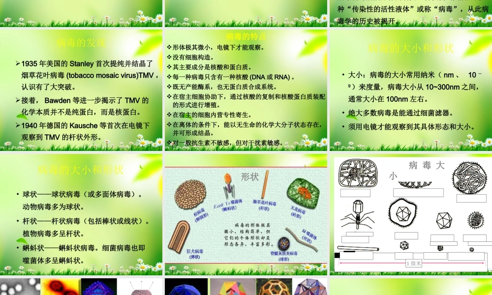 五年级科学上册 病毒 1课件 青岛版
