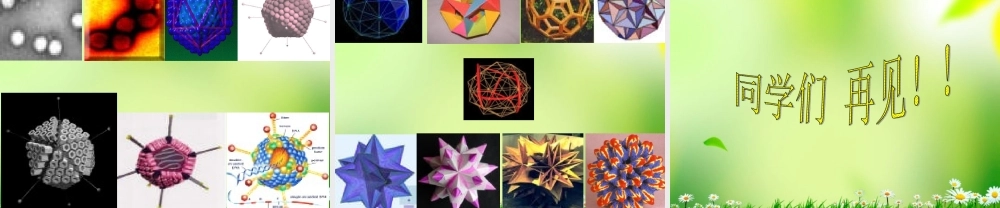 五年级科学上册 病毒 1课件 青岛版