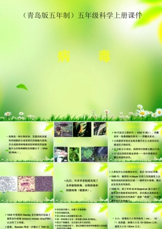 五年级科学上册 病毒 1课件 青岛版