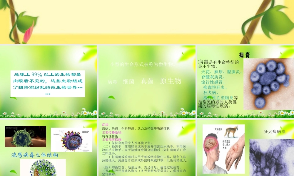 五年级科学上册 病毒 2课件 青岛版