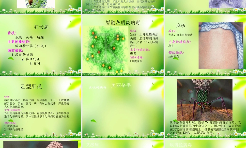 五年级科学上册 病毒 2课件 青岛版