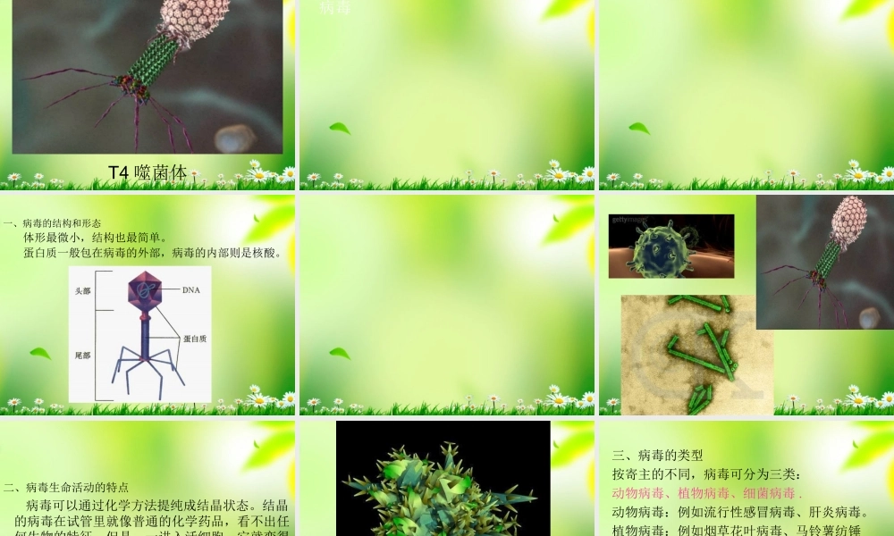 五年级科学上册 病毒 2课件 青岛版