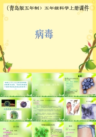 五年级科学上册 病毒 2课件 青岛版