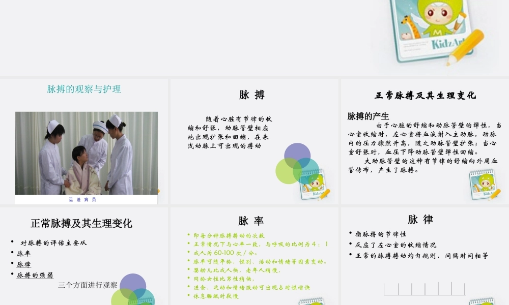 五年级科学上册 测量呼吸、心跳和脉搏 1课件 苏教版