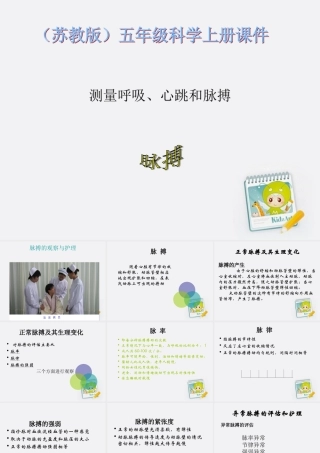 五年级科学上册 测量呼吸、心跳和脉搏 1课件 苏教版