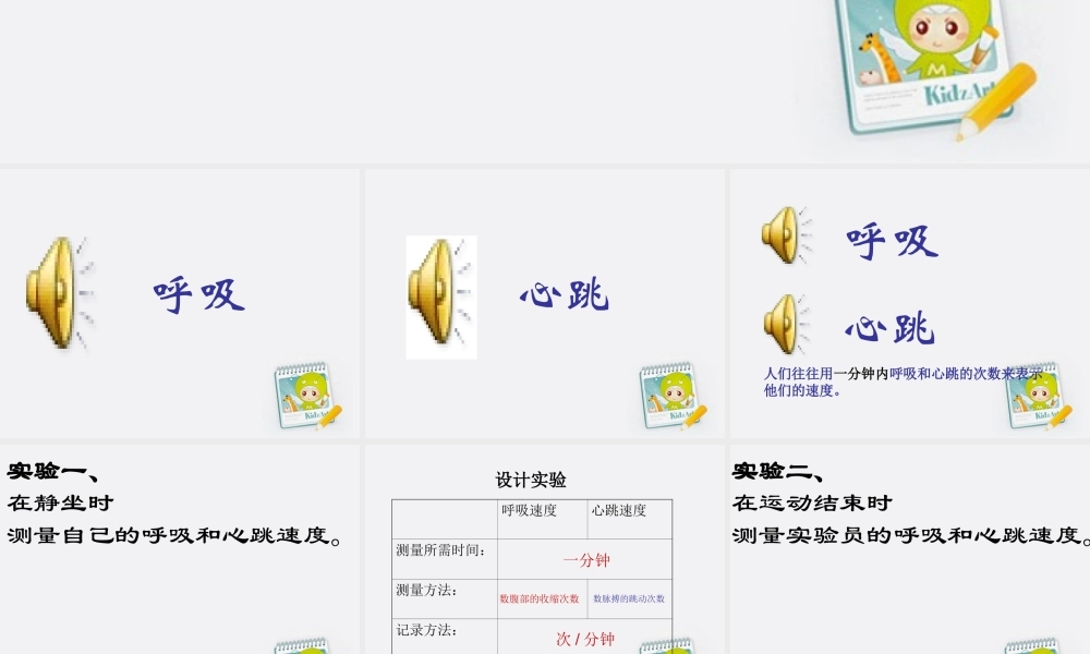 五年级科学上册 测量呼吸、心跳和脉搏课件 苏教版